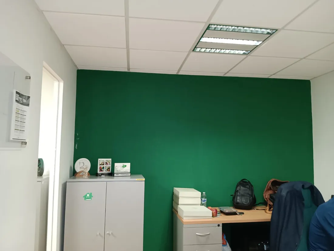 Oficina remodelada con muro de acento verde, plafón con luminaria empotrada y mobiliario de oficina